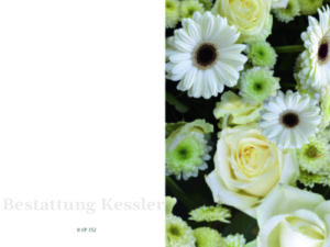 weiße Rosen - EP352